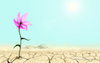 Thumbnail image for Profit from Israel’s Desalination Tech
